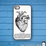 Heart Diagram Medical Chart..