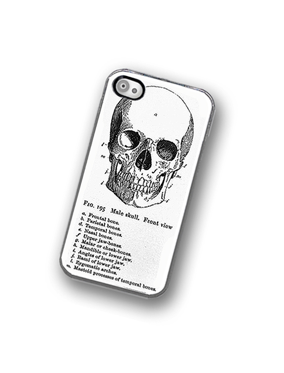 Medical Skull Diagram iPhone Hard Case, Fits iPhone 4 and iPhone 4s - Clear/Black Trim