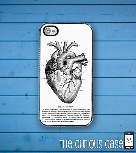 Heart Diagram Medical Chart iPhone Hard Case, Fits iPhone 4 and iPhone 4s - Black trim
